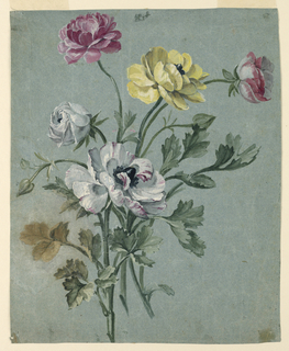 Drawing, Study of a Bunch of Roses