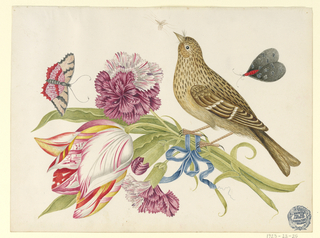 Drawing, Bird with Tulip, Carnation, Butterflies, and Insect
