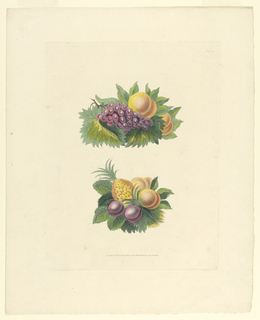 Print, Grapes, Pineapple, Plums