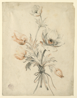 Drawing, Study of a Bunch of Roses