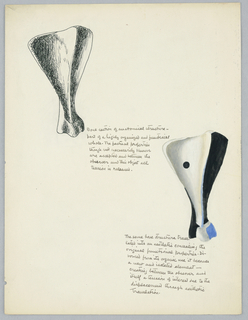 Drawing, Study of Bone Sections