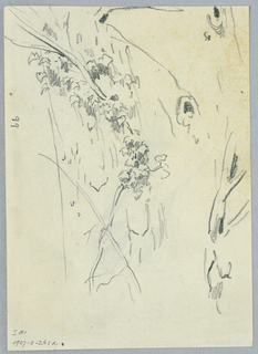 Drawing (SPAIN & U.S.)