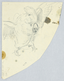 Drawing (SPAIN & U.S.)