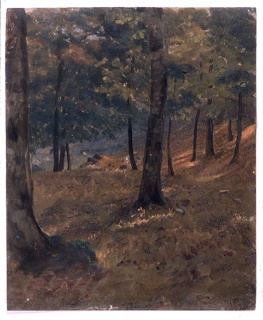 Drawing, Woodland Scene