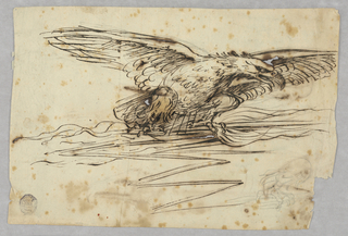 Drawing, Sketches for the Representation of an Eagle Over a Thunderbolt
