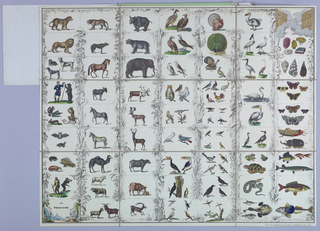 Game, Die Thierwelt (The Animal Kingdom)