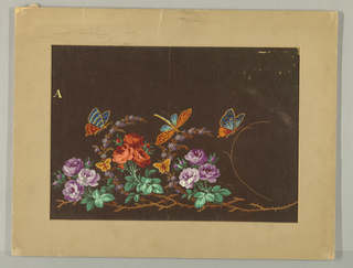 Drawing, Design for Textile Border Thorny Branch and Insects