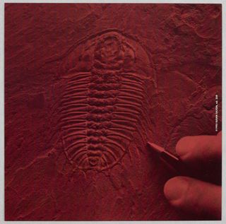 Print/ephemera, "M/F": Susan Silton Promo