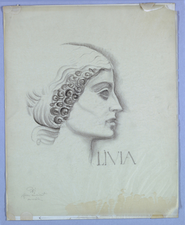 Drawing, Female Head, Right Profile: Livia