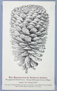 Poster, Plant Illustrations from the Smithsonian