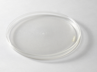 "Colorings" Plate, Dinner