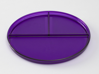 Divided Picnic Plate