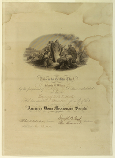Certificate (FRANCE & U.S.A.)
