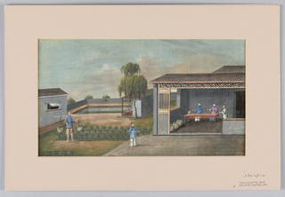 Drawing, Transporting and Trimming Tea Leaves