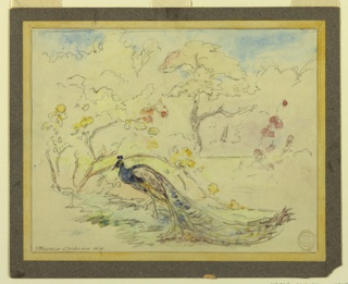 Drawing, Peacock in a Garden