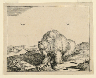 Print, Seated Bear, from a Set of Sixteen Views of Bears