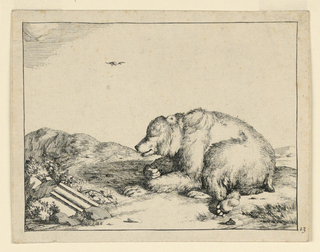 Print, Recumbent Bear, from a Set of Sixteen Views of Bears