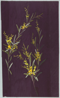 Drawing, from "Saint Germain - Volumes 1 & 2"