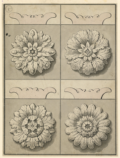Drawing, Design for rosettes