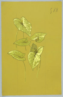 Drawing, from "Saint Germain - Volumes 1 & 2"