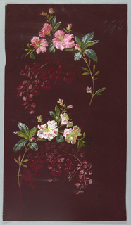 Drawing, from "Saint Germain - Volumes 1 & 2"