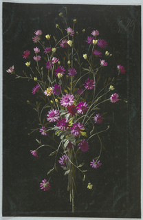 Drawing, from "Saint Germain - Volumes 1 & 2"