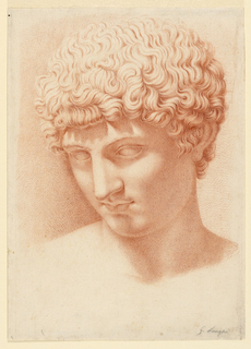 Drawing, Head of Apollo