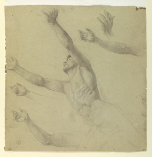 Drawing, Figure Study for Diana and Her Attendants among the Constellations