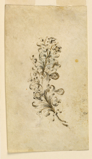 Drawing, Design for a Brooch