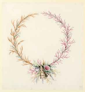 Drawing, Ornament Design with Seaweed and Shells