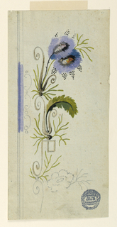 Drawing, Design for a Waistcoat