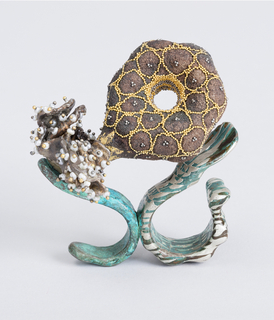 Ambivalence Double Ring