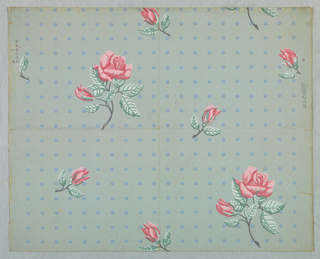 Sidewall, Manchester Rose