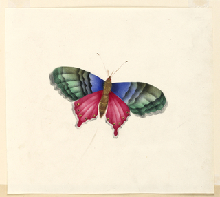Drawing, Butterfly
