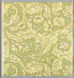 Sidewall, Bachelor's Button