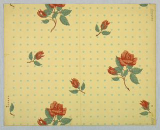 Sidewall, Manchester Rose