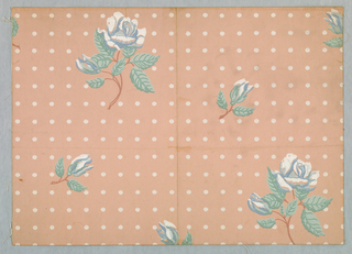 Sidewall, Manchester Rose