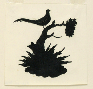 Silhouette, Pheasant on a Scrub-Tree
