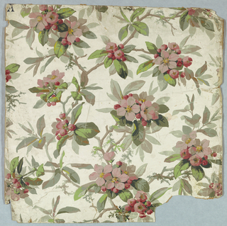 Sidewall (possibly England)