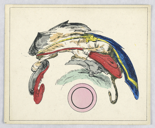 Optical Toy, Les Anamorphoses (Anamorphosis), Puss in Boots