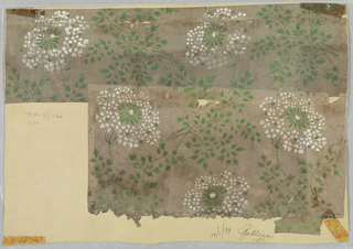 Sidewall - Fragment (possibly USA)