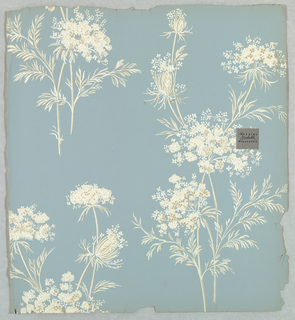 Sidewall - Sample (USA)