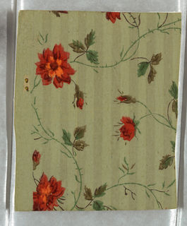 Sidewall - Fragment (USA)