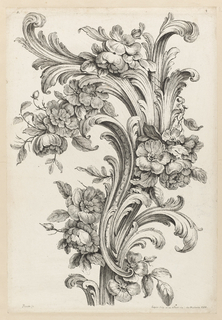Print, Floral and Acanthus Leaf Design