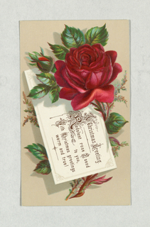 Greeting Card