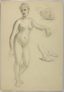 Drawing, Standing Female Nude