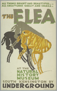 Poster, The Flea at The Natural History Museum