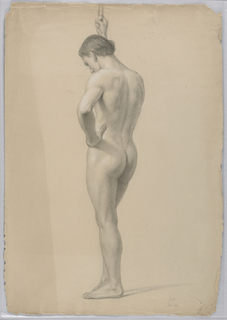 Drawing, Standing Male Nude
