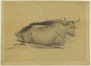 Drawing, Studying of a Lying Cow