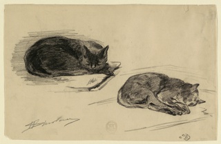 Drawing, Study of Cats